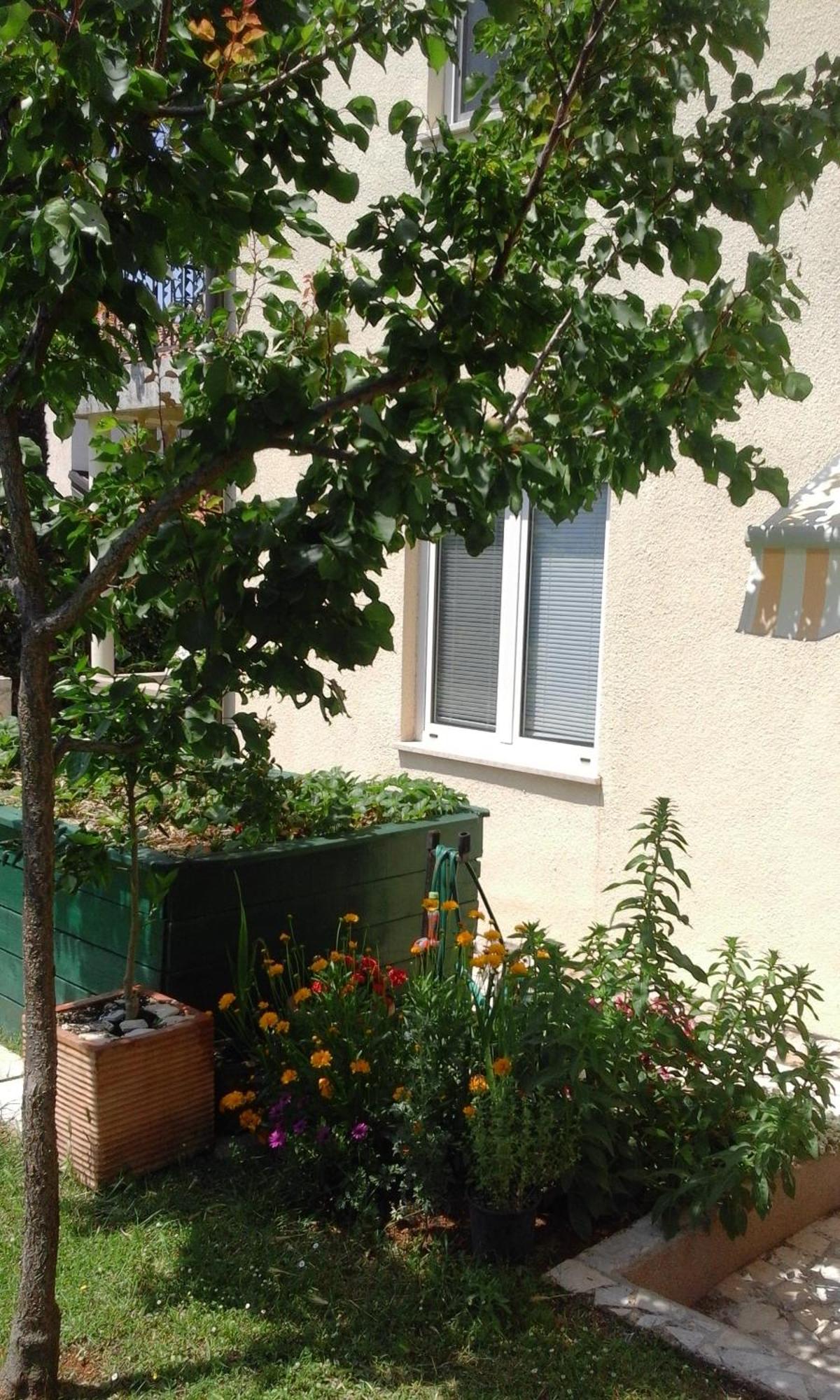 פורץ Apartment Laura מראה חיצוני תמונה